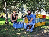 PTT 4431 065 Web