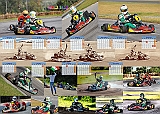 Falco_001
