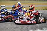 PIT_9443