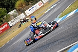 PIT_8395