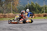 PIT_9381