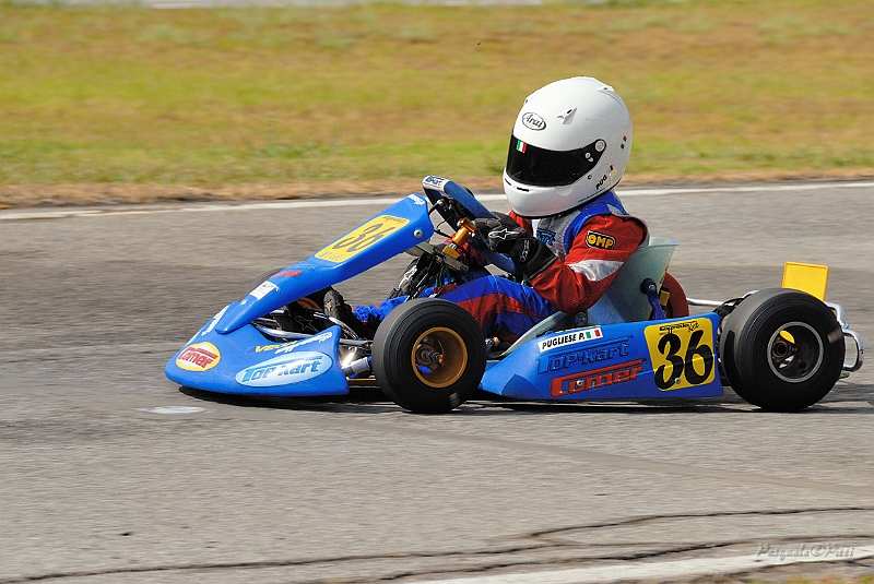 PIT_8495.jpg