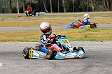 PIT_8542
