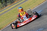 PIT_8208