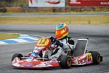 PIT_9049