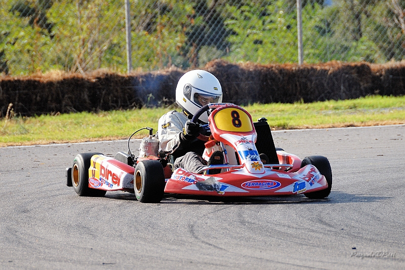 PIT_8226.jpg