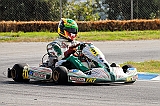 PIT_9136