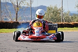 PIT_8246